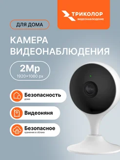 Видеокамера IP домашняя SCI-1