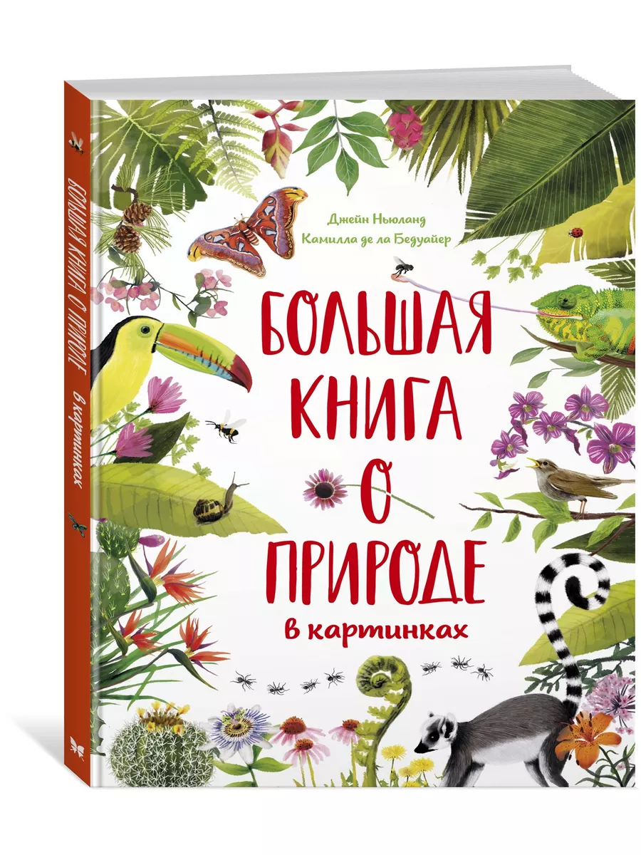 Большая книга о природе в картинках Издательство Махаон 18847245 купить в  интернет-магазине Wildberries