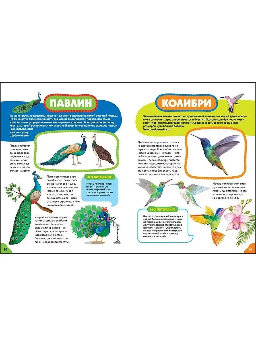 Можно ли снимать видео и фото граждан без их ведома и согласия?