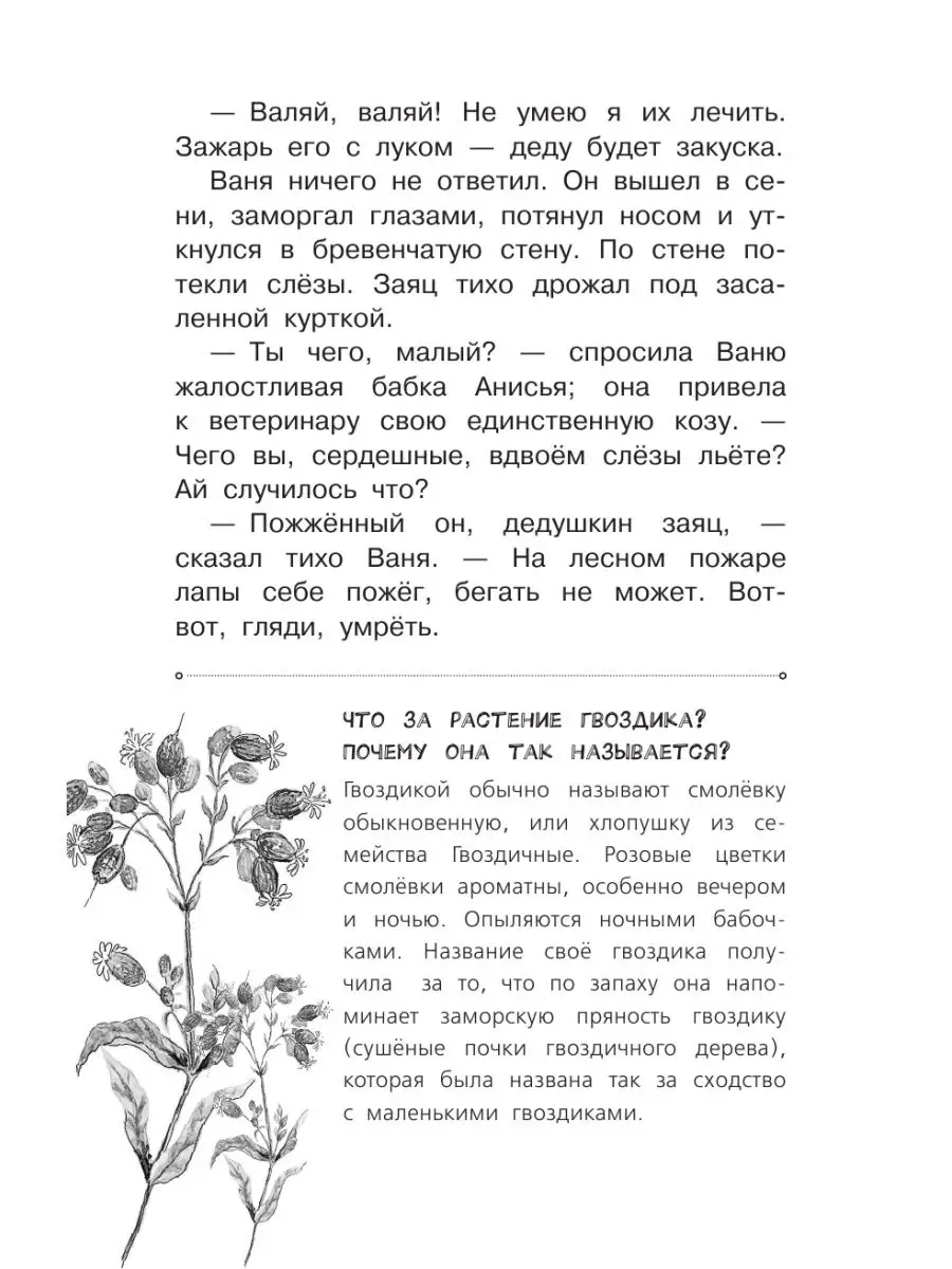 Заячьи лапы Издательство АСТ 18894115 купить в интернет-магазине Wildberries