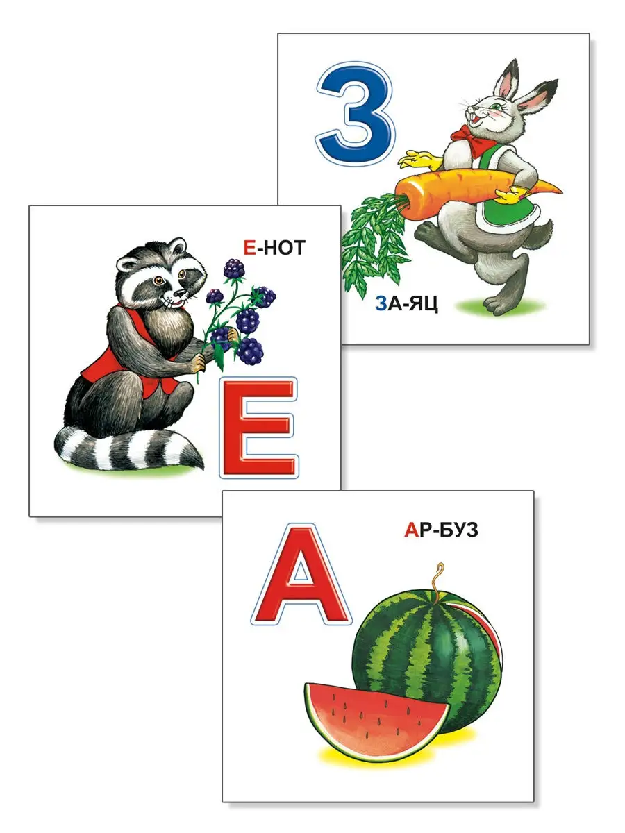 Карточки для изучения букв Алфавит 33 карточки Алфея 18936804 купить за 195  ₽ в интернет-магазине Wildberries
