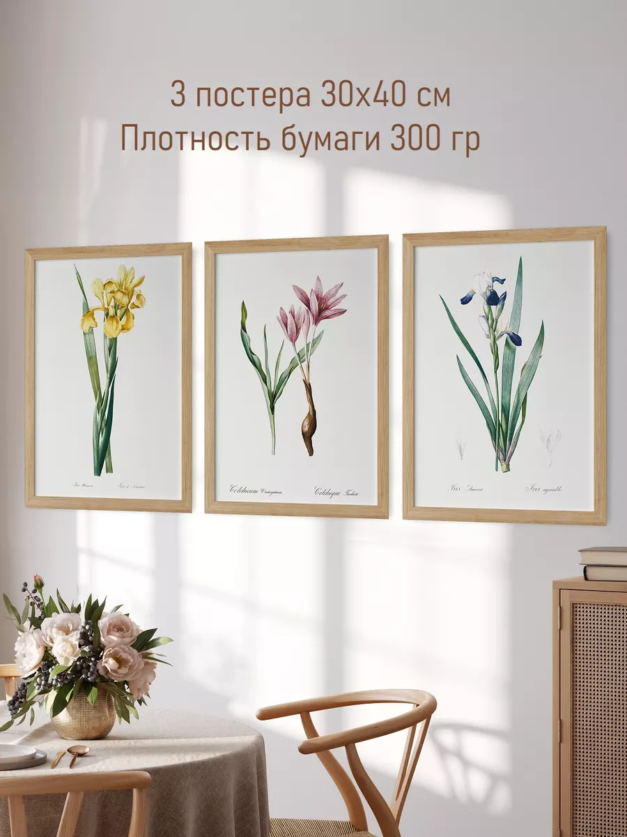 Интерьерные постеры на стену Цветы Ботаника 30х40