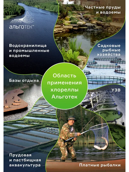Альготек Хлорелла для пруда с рыбой 5л, 5 л, фото 8