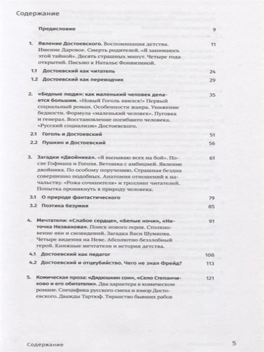 Достоевский.Писатель,заглянувший в бездну Rosebud Publishing 18998341  купить в интернет-магазине Wildberries