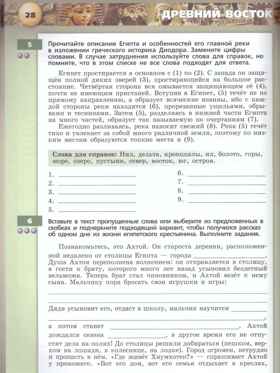 Всеобщая История 5 класс. Тетрадь-тренажер. ФГОС Просвещение 19036801  купить за 415 ₽ в интернет-магазине Wildberries