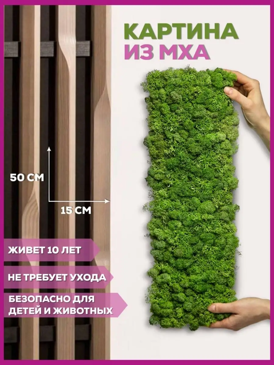 Панели для стен из стабилизированного мха Bloom Showroom 19086700 купить за  1 211 ₽ в интернет-магазине Wildberries