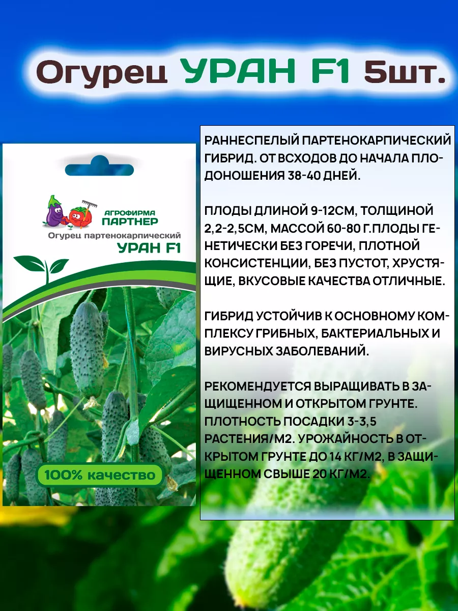 Продукты уранового распада: ученый объяснил механизм воздействия на организм