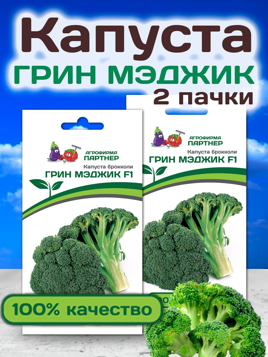 Брокколи грин мэджик f1. Грин Мэджик брокколи. Капуста Грин Мэджик. Брокколи от партнера. Грин Мэджик брокколи описание.