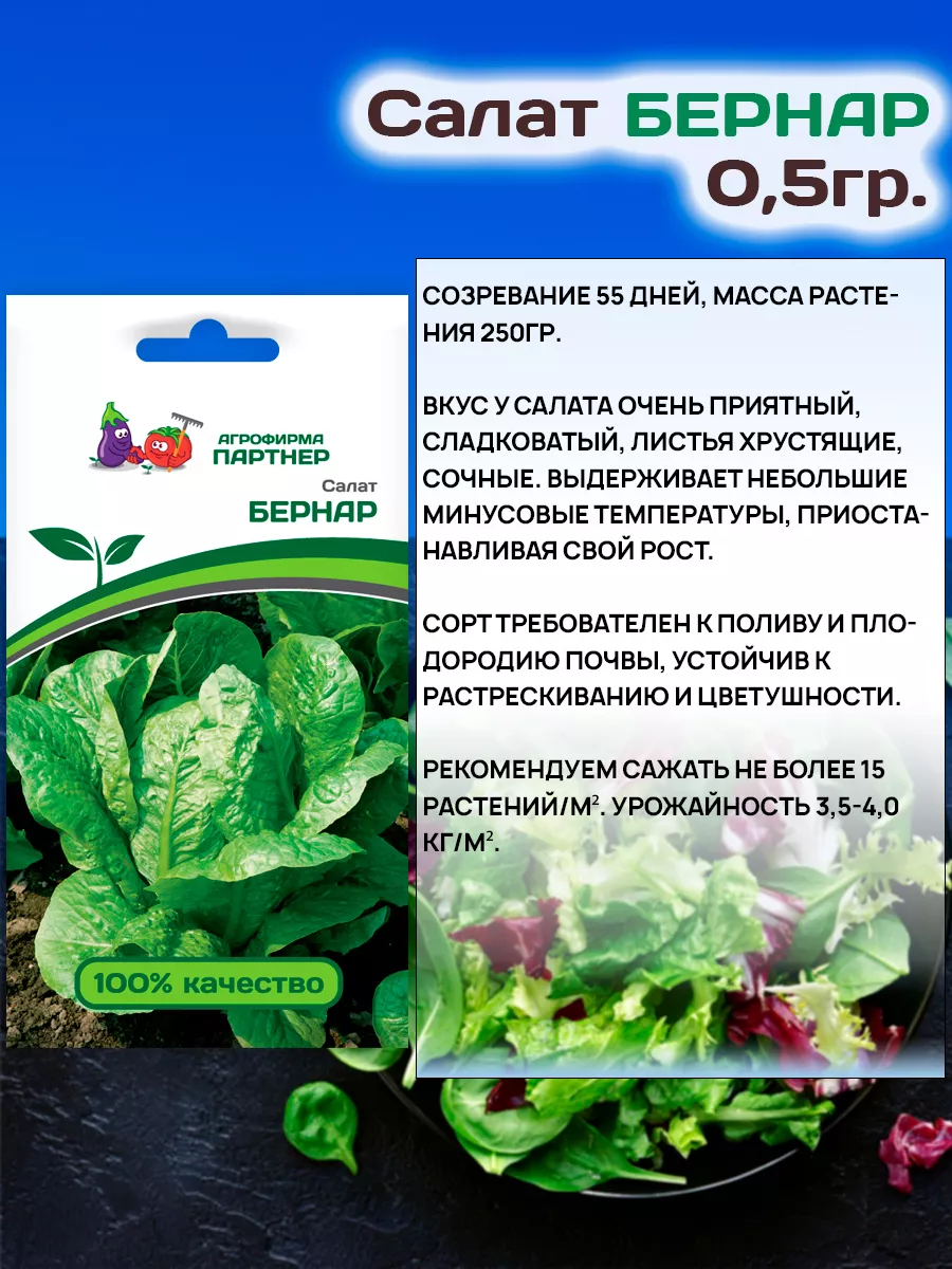 Семена Салата Бернар кочанный раннеспелый АГРОФИРМА ПАРТНЕР 19110977 купить  за 211 ₽ в интернет-магазине Wildberries