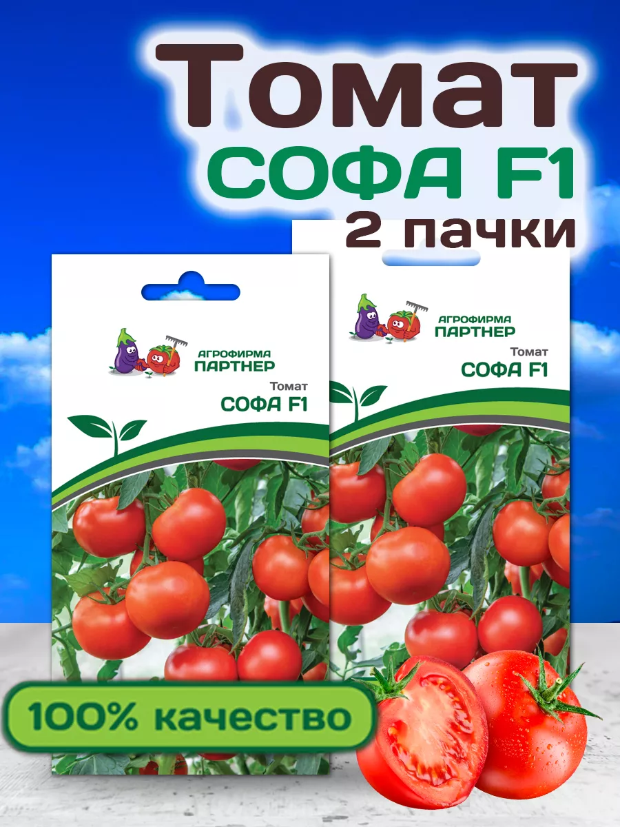 Томат софа как формировать. Партнер томат черри софа f1. томат софа f1. томат баночный.