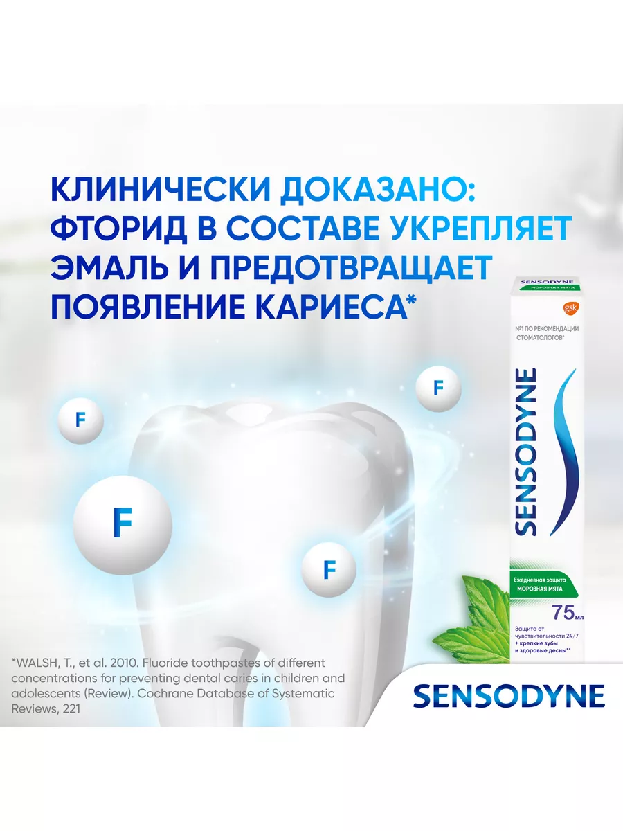 Зубная паста Ежедневная защита 65 г 3шт SENSODYNE 19122432 купить за 447 ₽  в интернет-магазине Wildberries