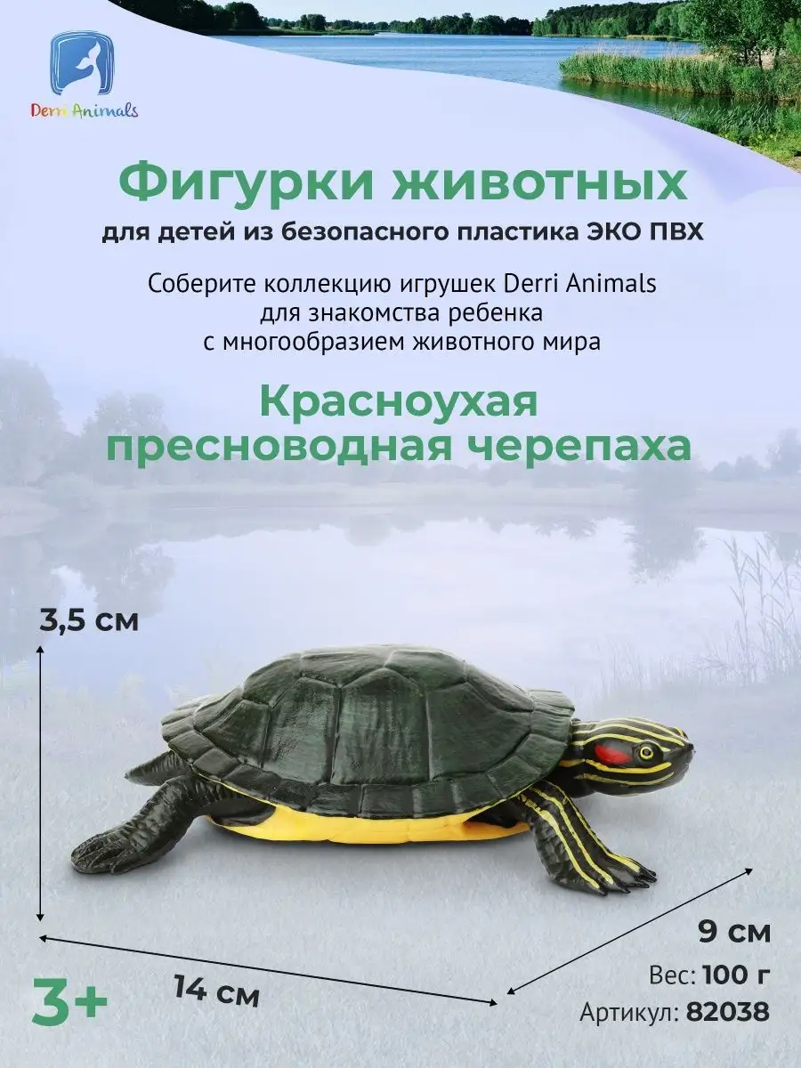 Фигурка Черепаха Красноухая, 82038 Derri Animals 19128271 купить за 426 ₽ в  интернет-магазине Wildberries