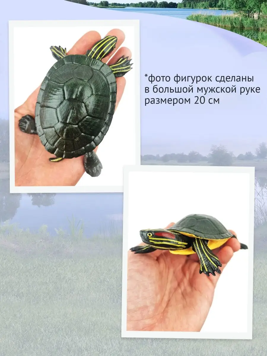 Фигурка Черепаха Красноухая, 82038 Derri Animals 19128271 купить за 426 ₽ в  интернет-магазине Wildberries