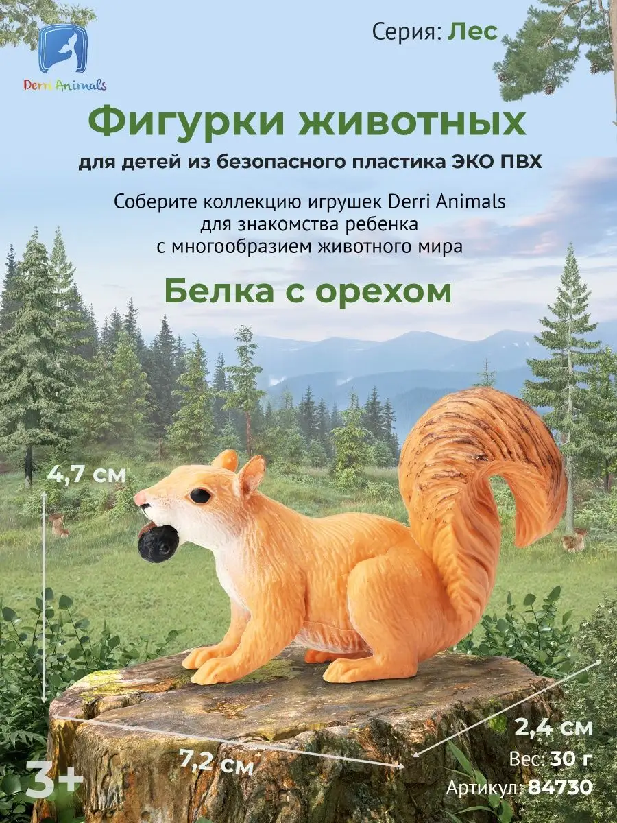 Фигурка Белка Белочка с орехом 84730 Derri Animals 19128376 купить за 304 ₽  в интернет-магазине Wildberries