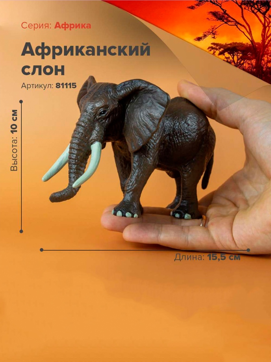 Фигурка животного Африканский слон Derri Animals 19128464 купить за 589 ₽ в  интернет-магазине Wildberries