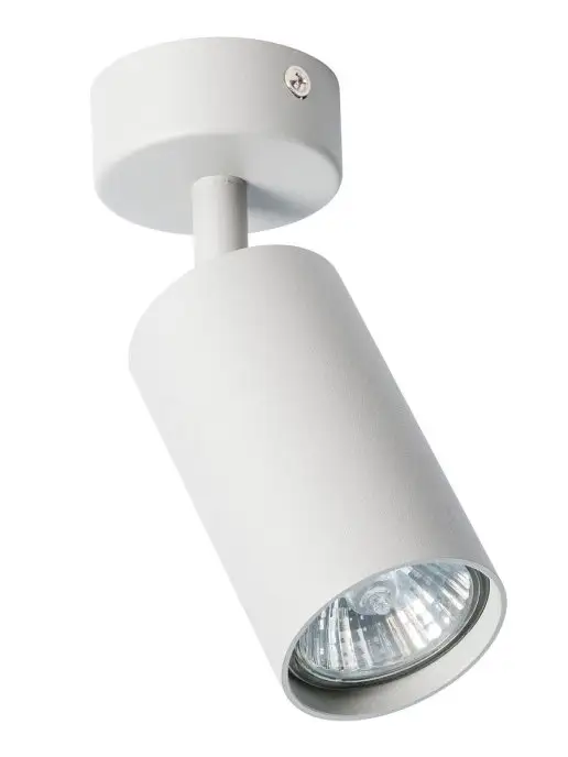 Arte Lamp Спот AQUARIUS A3216PL-1GY, серый, фото 3