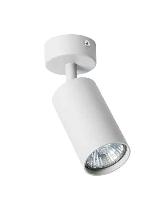 Arte Lamp Спот AQUARIUS A3216PL-1GY, серый, фото 8