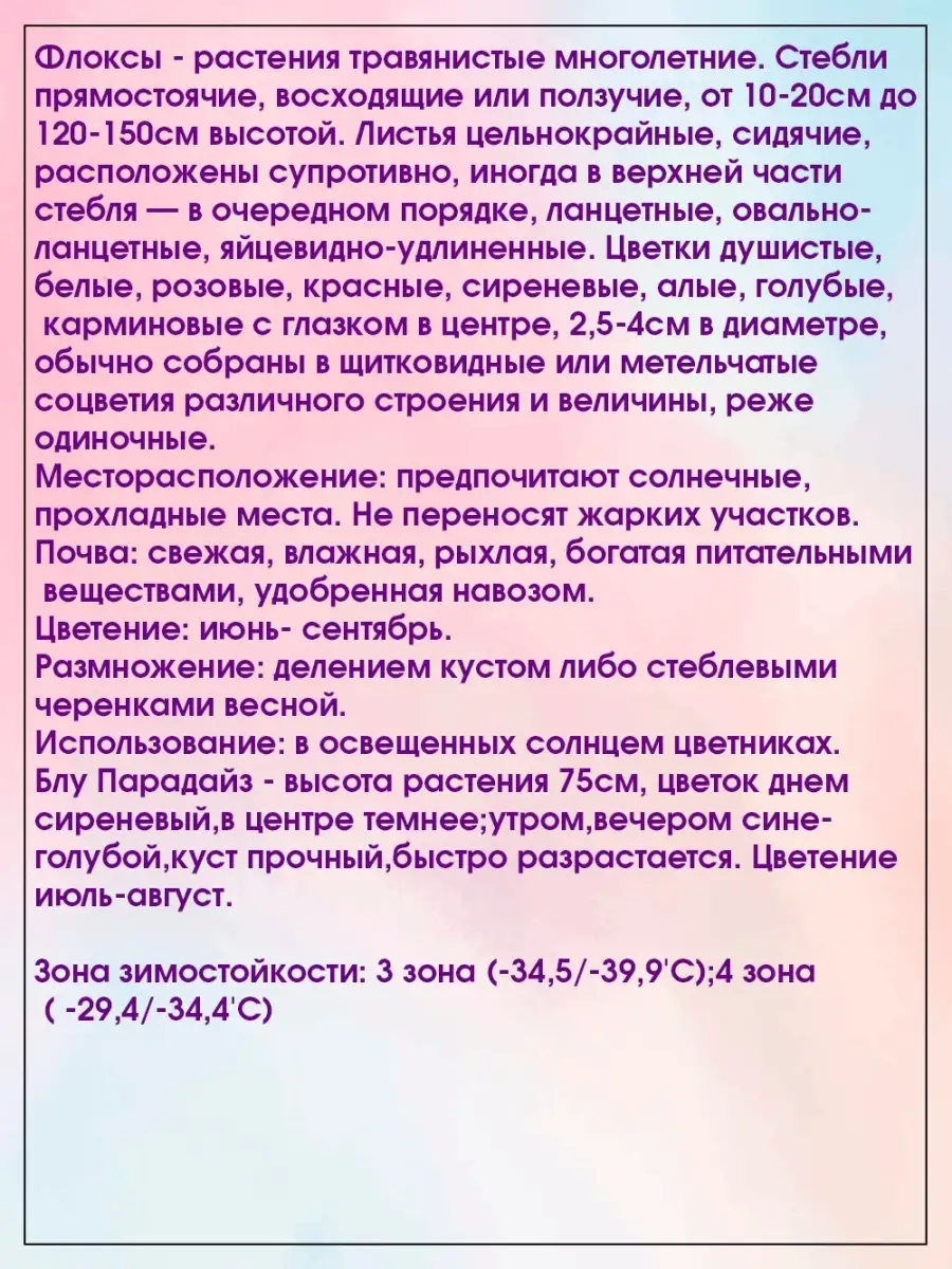 Флокс метельчатый Блу Парадайс 1 шт Агрохолдинг Поиск 19179692 купить в  интернет-магазине Wildberries