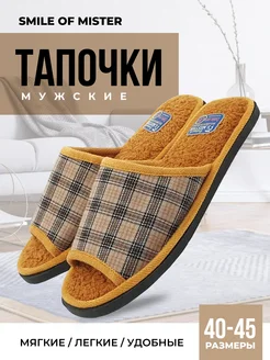 Тапочки домашние Smile of Mister 19214220 купить за 275 ₽ в интернет-магазине Wildberries