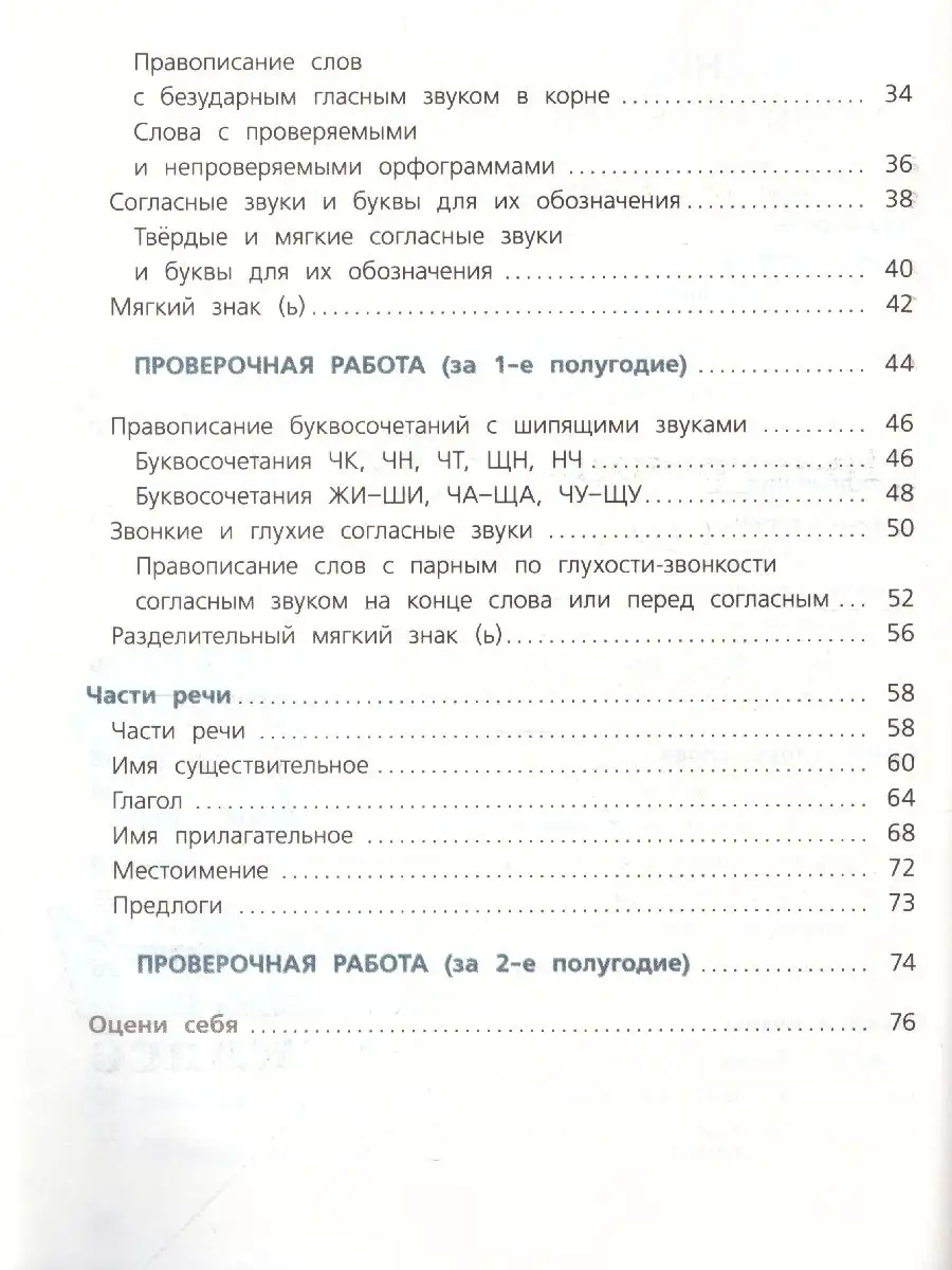 Русский язык 2 класс. Проверочные работы. ФГОС Просвещение 19305529 купить  в интернет-магазине Wildberries