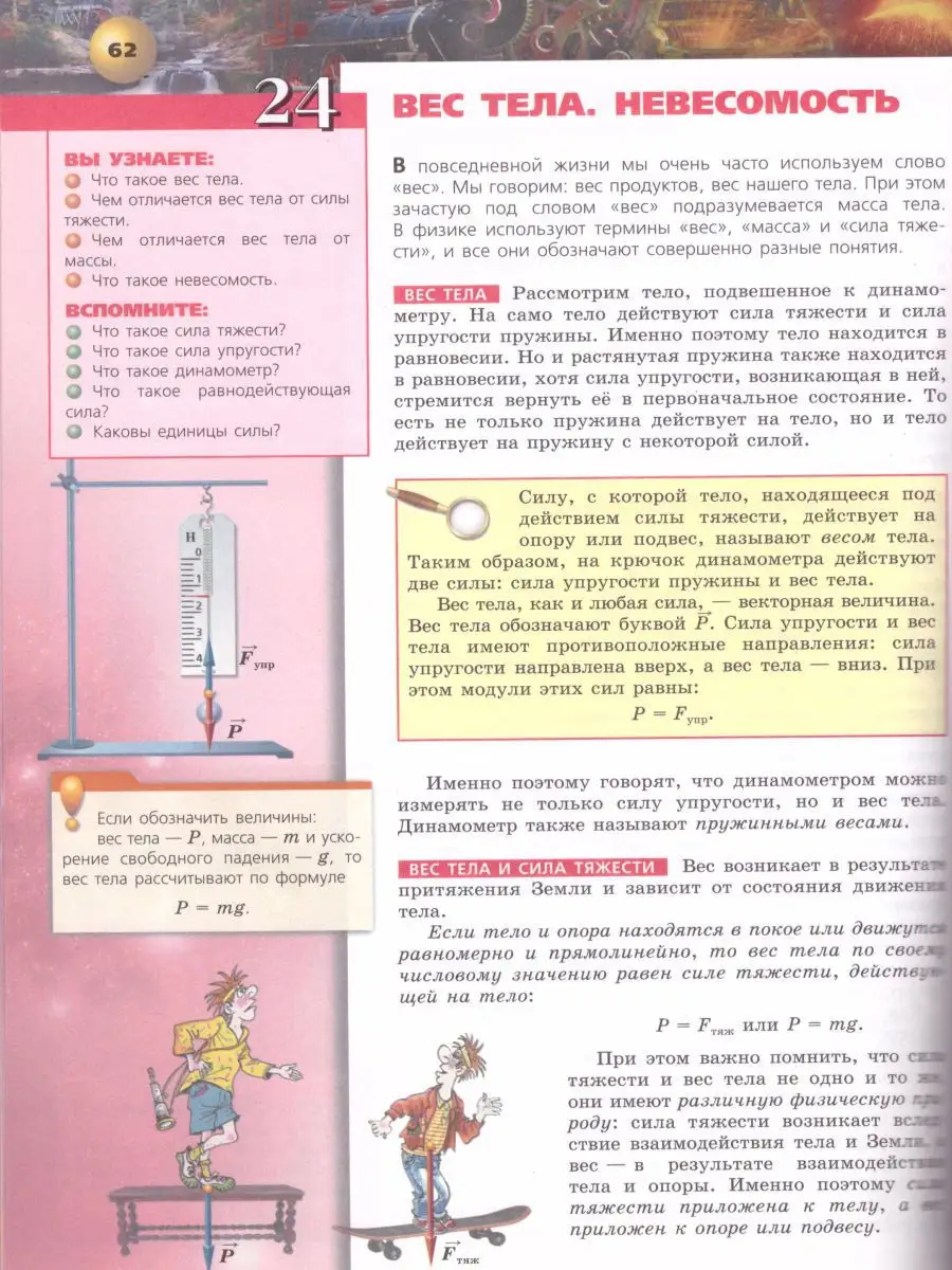 Физика 7 класс. Учебник. ФГОС Просвещение 19305533 купить в  интернет-магазине Wildberries