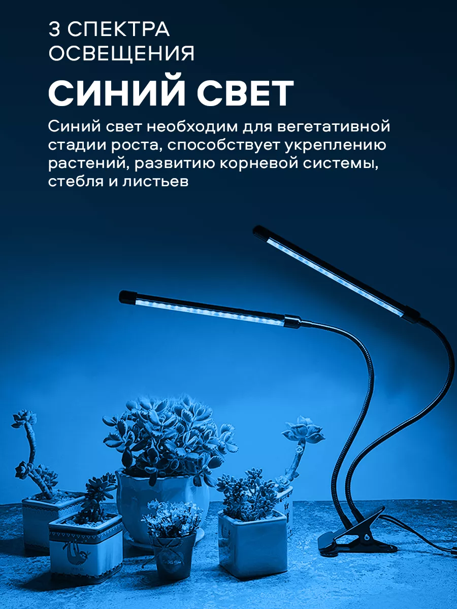 Фитолампа для растений и рассады Enter light 19333599 купить за 714 ₽ в  интернет-магазине Wildberries