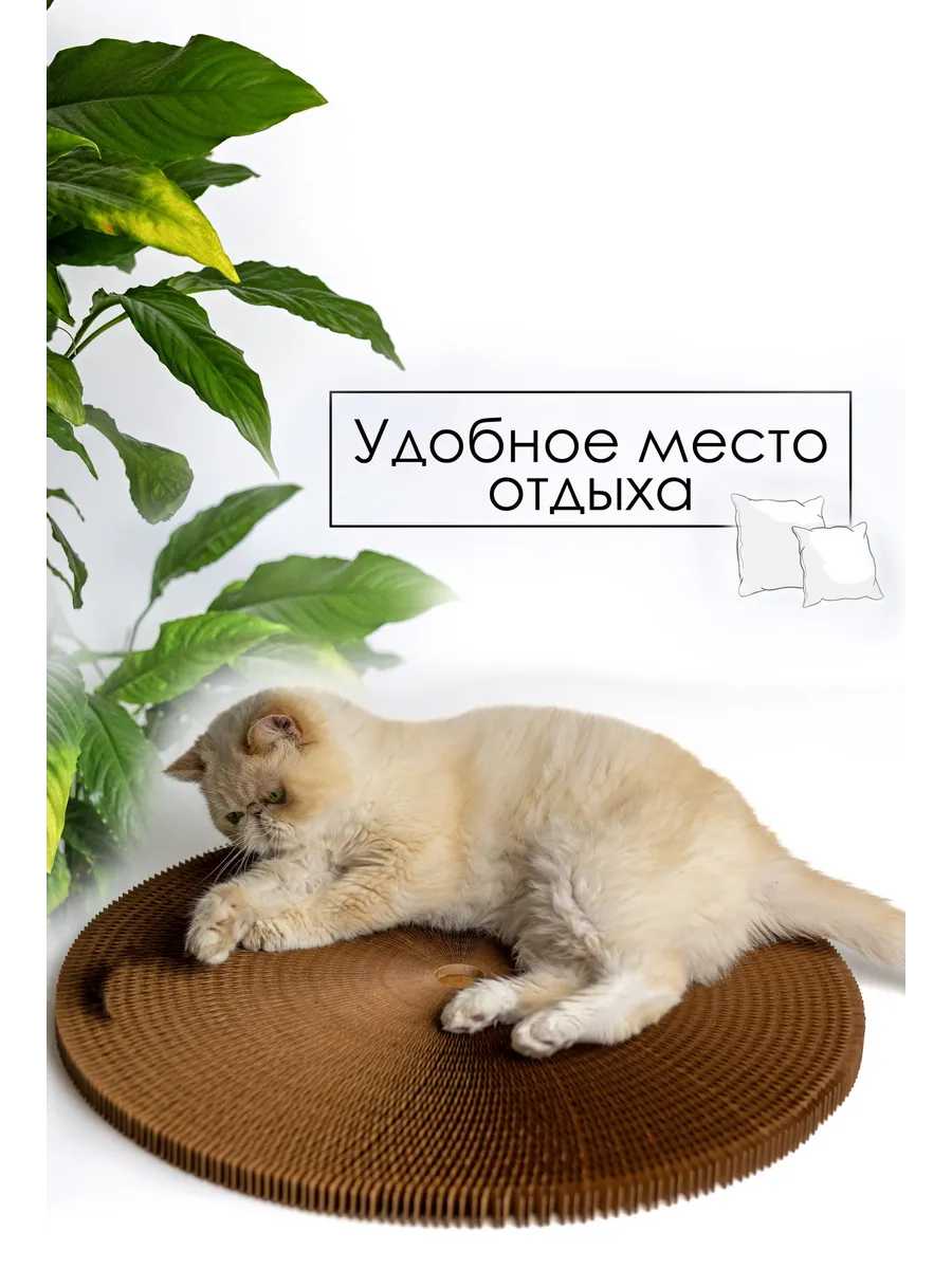 Изделия на заказ — HappyPets - когтеточки, лежанки и домики