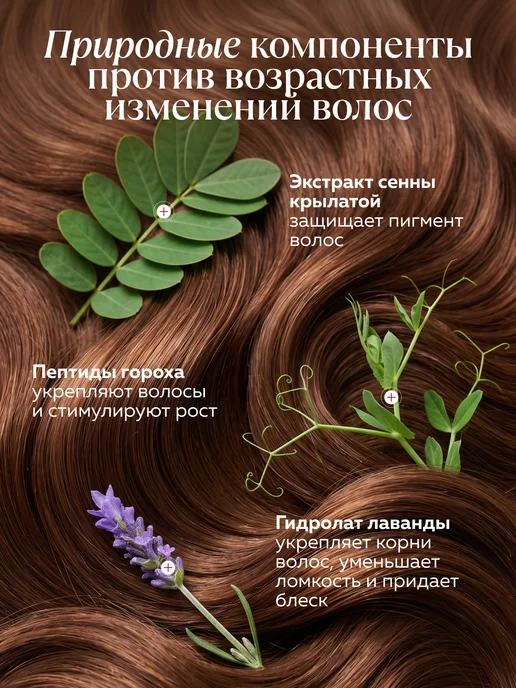 mi&ko Бессульфатный шампунь от выпадения волос устранение седины, 200 мл, фото 3