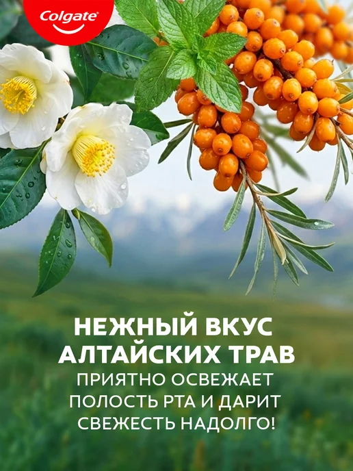 Colgate Ополаскиватель для полости рта 500мл 3шт, 500 мл, 2 шт, фото 3