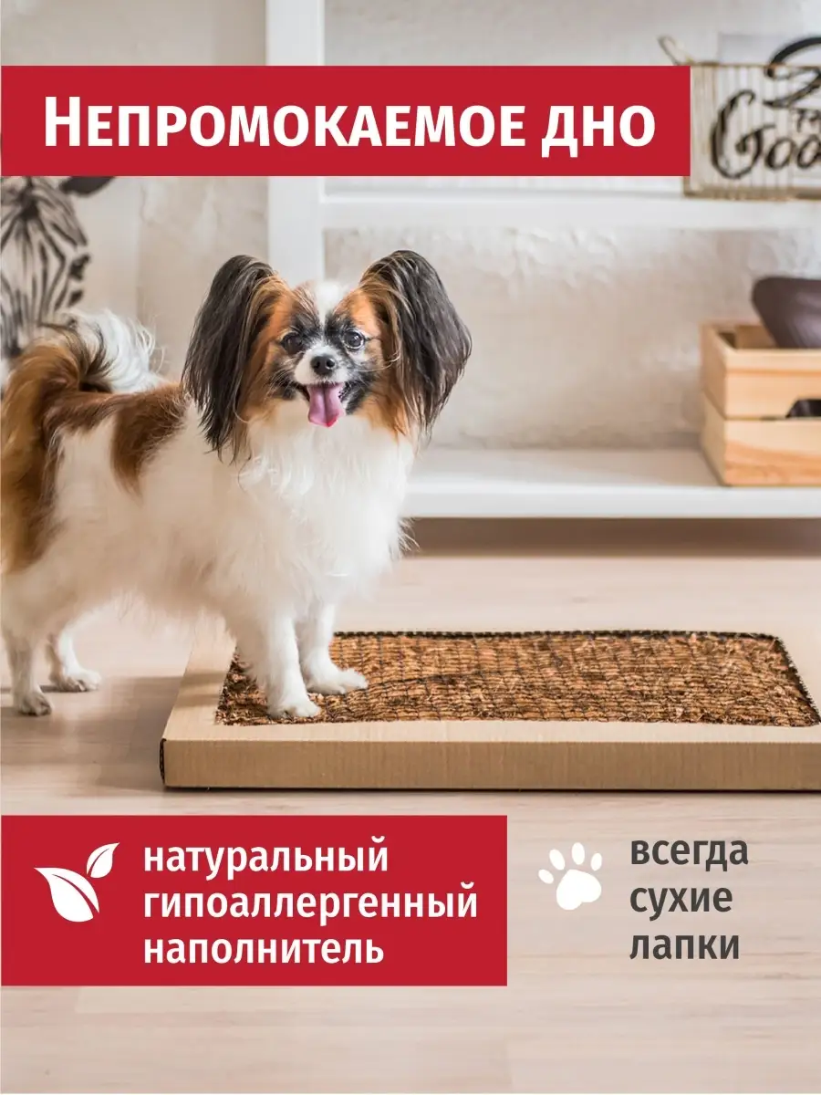 ПЕКИНЕС форум. PEKINGESE FORUM.: Туалет со столбиком у кого есть? - ПЕКИНЕС форум. PEKINGESE FORUM.