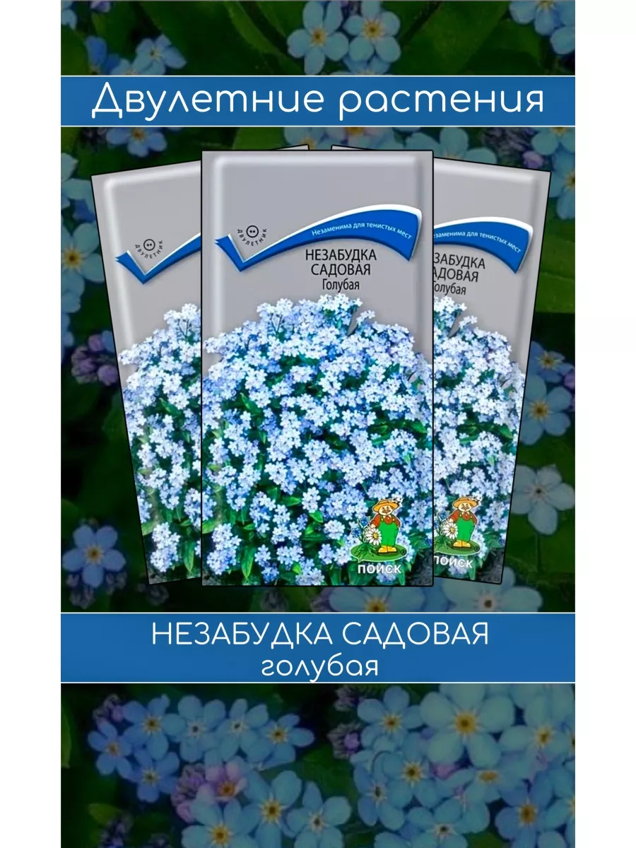 Семена двулетников 3 уп. Незабудка садовая Голубая. Агрофирма Поиск  19494942 купить за 135 ₽ в интернет-магазине Wildberries