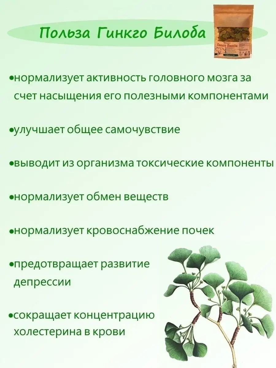 Гинкго Билоба 50г, чай для улучшения памяти Чайная Трапеза 19499634 купить  за 227 ₽ в интернет-магазине Wildberries