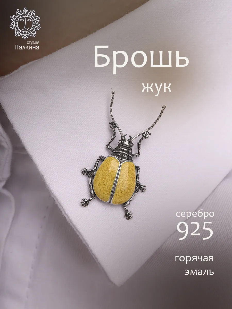 Брошь серебро 925 жук