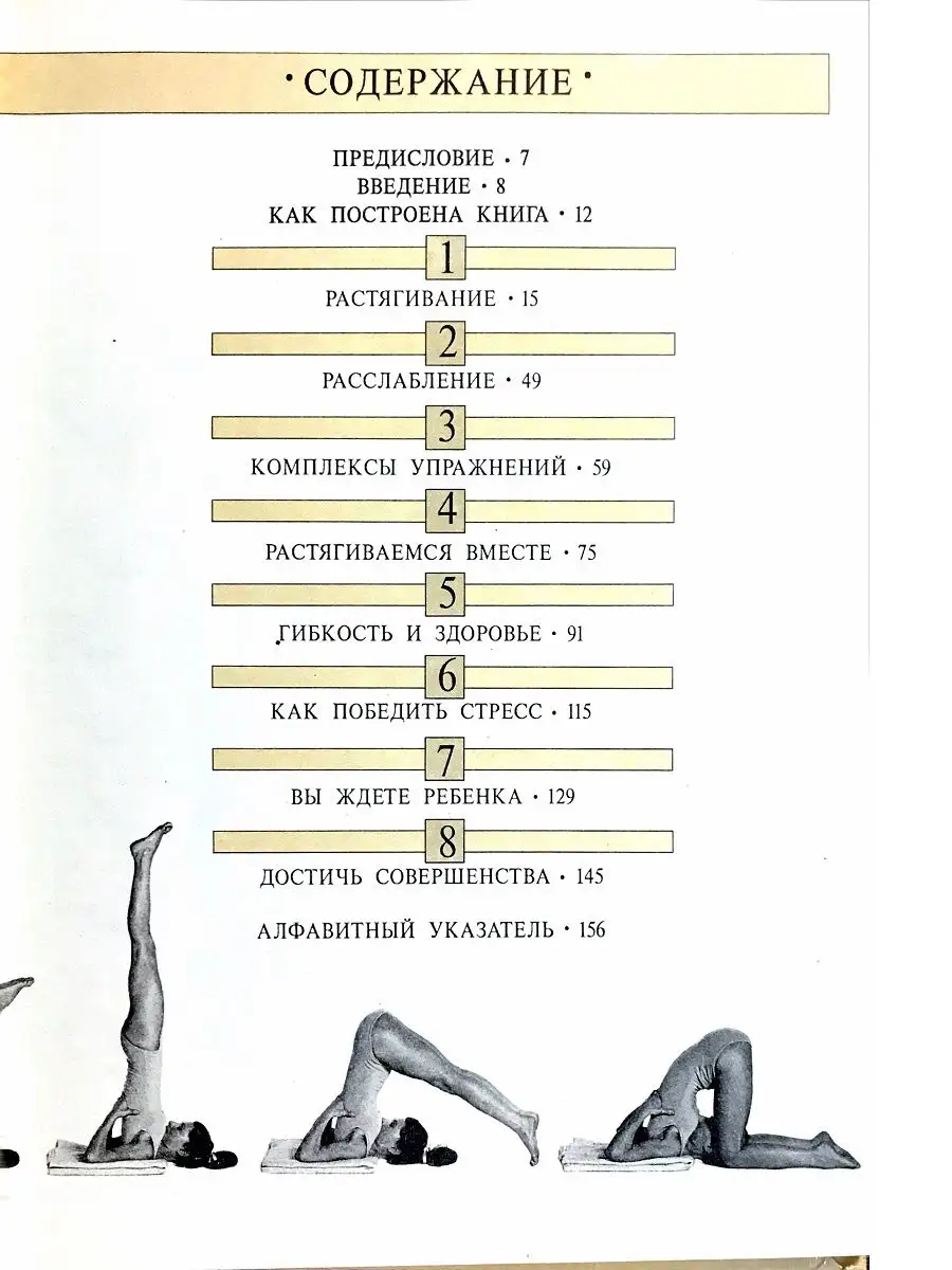 Растягивайся и расслабляйся Издательство Физкультура и спорт 19653524  купить в интернет-магазине Wildberries