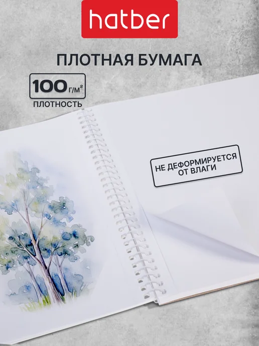Hatber Альбомы для рисования А4 40 листов 2 штуки с машинами, вариант, фото 2