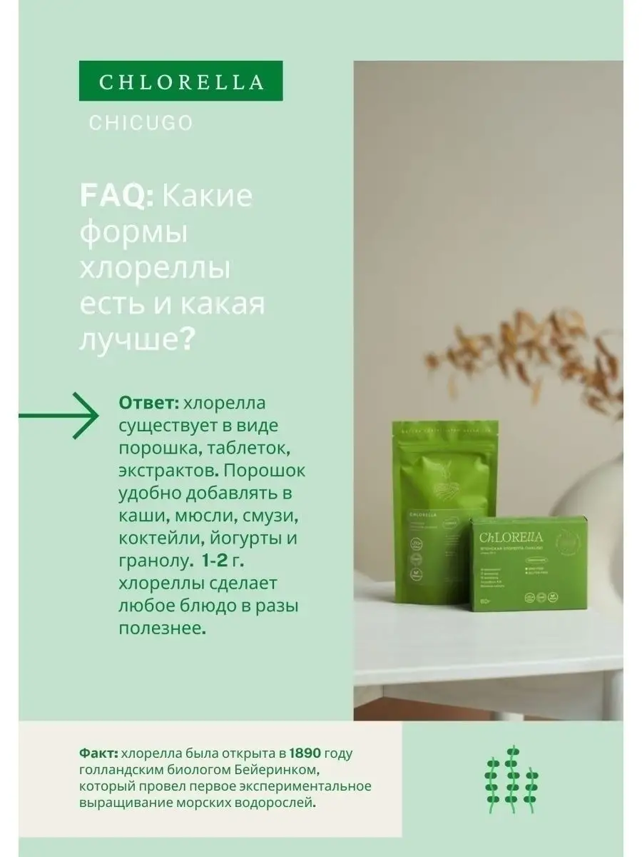 Японская хлорелла в таблетках с витаминами Matcha Forest 19856545 купить за  1 551 ₽ в интернет-магазине Wildberries