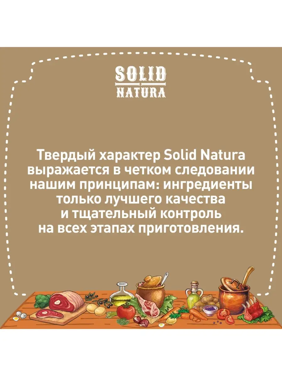 Влажный корм для кошек Holistic лосось, 12 шт х 100 г Solid Natura 19902553  купить за 1 641 ₽ в интернет-магазине Wildberries