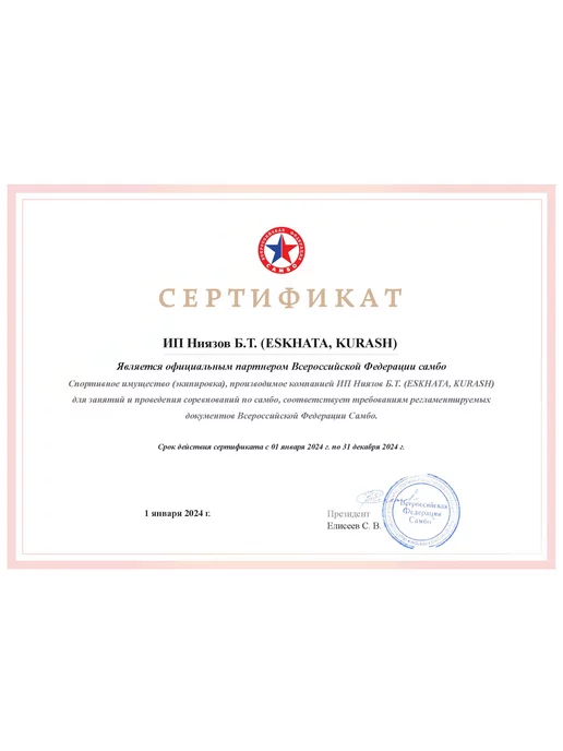 Eskhata Sport Борцовки для самбо на шнурках, синий, фото 2