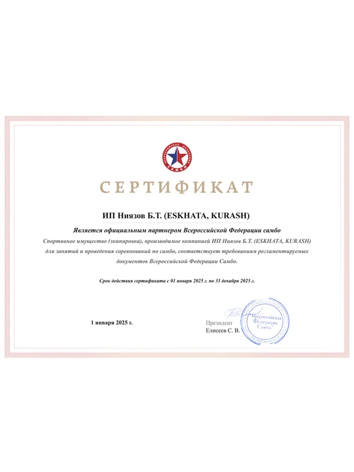 Eskhata Sport Борцовки для самбо на шнурках, синий, фото 3