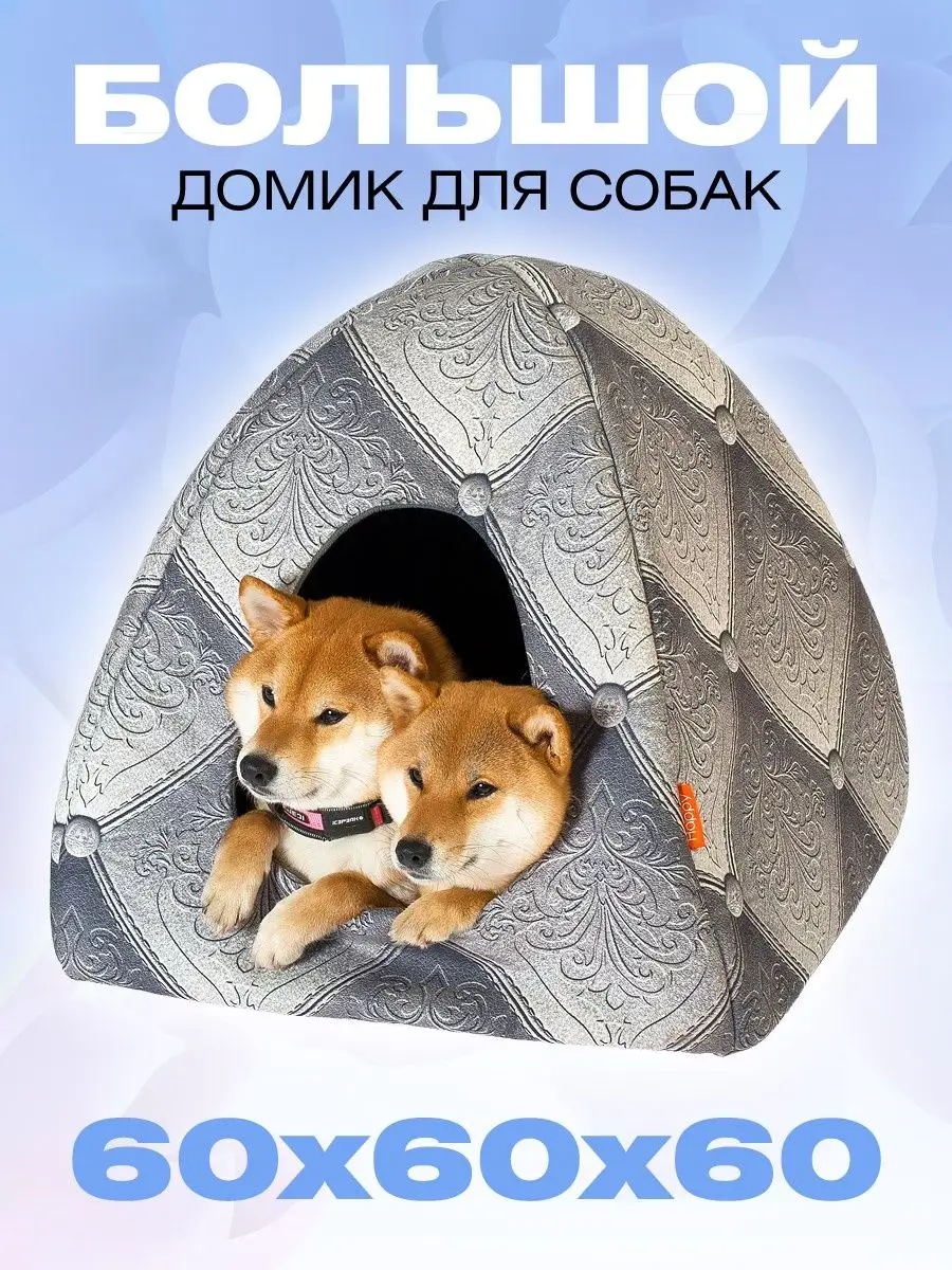 20830158