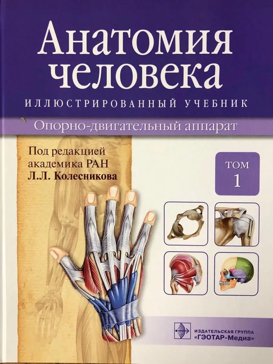 Анатомия человека. Иллюстрированный учебник. Том 1 ГЭОТАР-Медиа 20863128  купить за 1 640 ₽ в интернет-магазине Wildberries