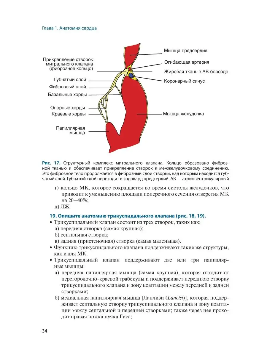 Основные вопросы кардиохирургии ГЭОТАР-Медиа 20863159 купить за 3 968 ₽ в  интернет-магазине Wildberries