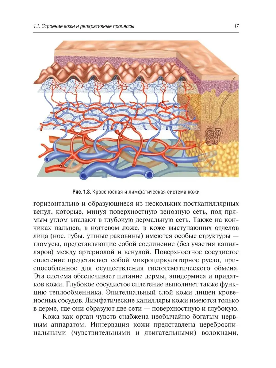 Рубцы кожи. Клинические проявления, диагностика и лечение ГЭОТАР-Медиа  20863160 купить в интернет-магазине Wildberries