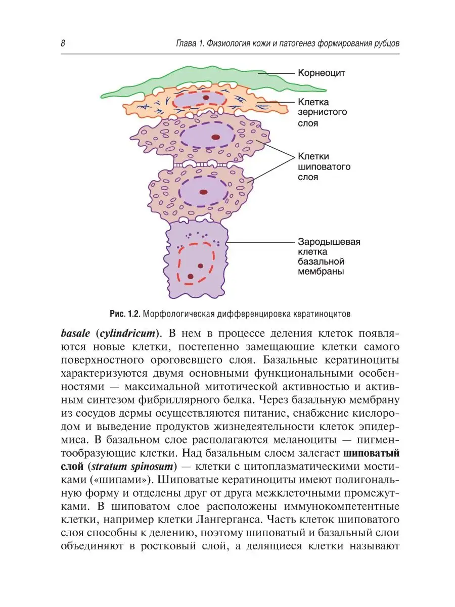 Рубцы кожи. Клинические проявления, диагностика и лечение ГЭОТАР-Медиа  20863160 купить в интернет-магазине Wildberries