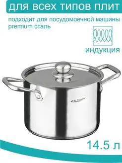 Кастрюля с крышкой 14.5 л, коллекция Титан Катунь 20864052 купить за 5 613 ₽ в интернет-магазине Wildberries