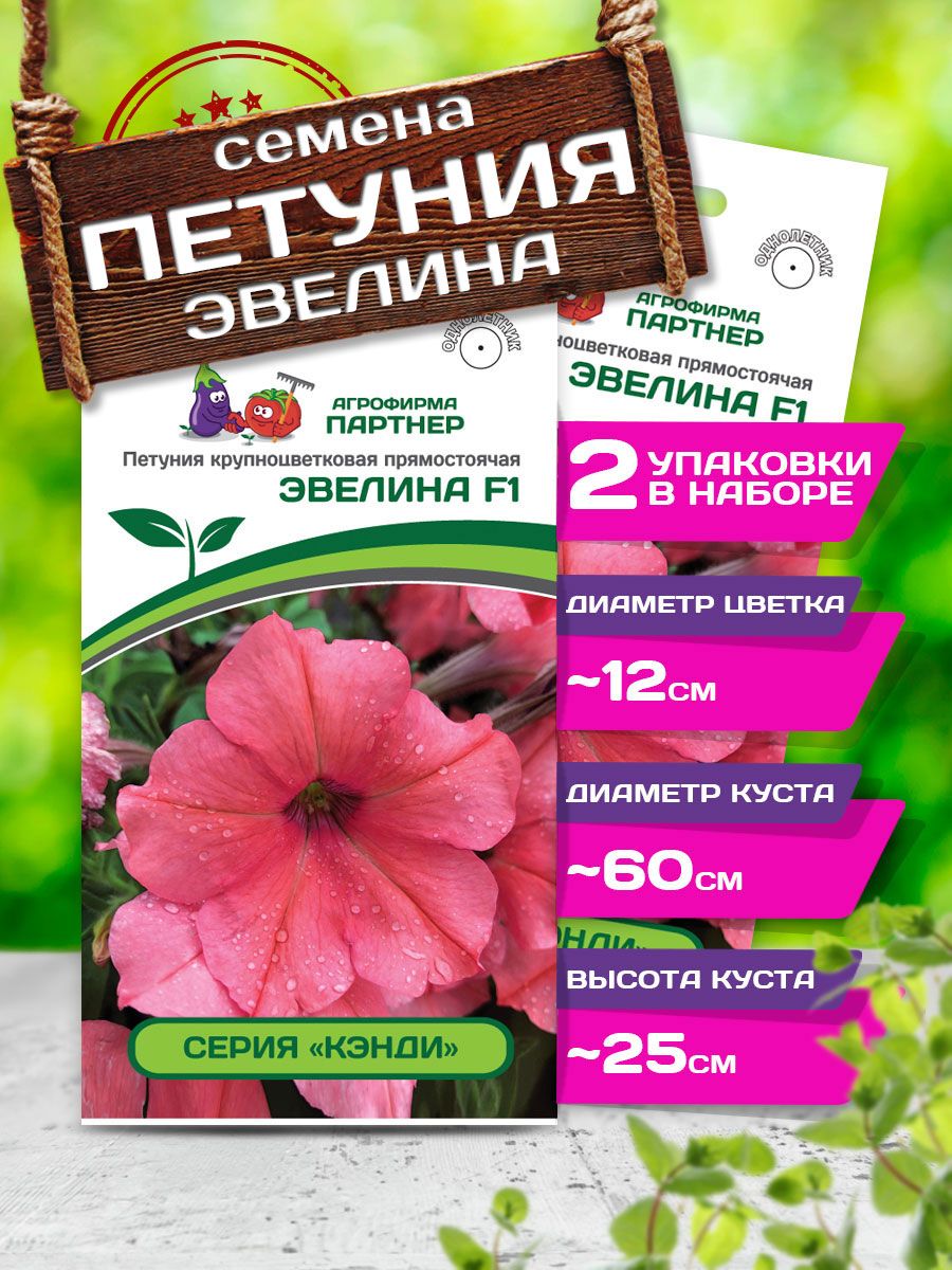 Петуния итальянка