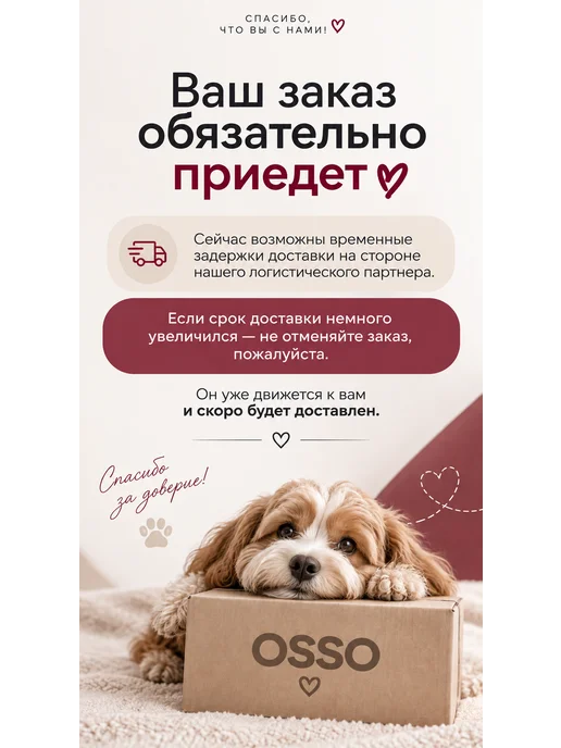 OSSO-fashion Дождевик для собак комбинезон мелких и средних пород, коричневый, фото 7