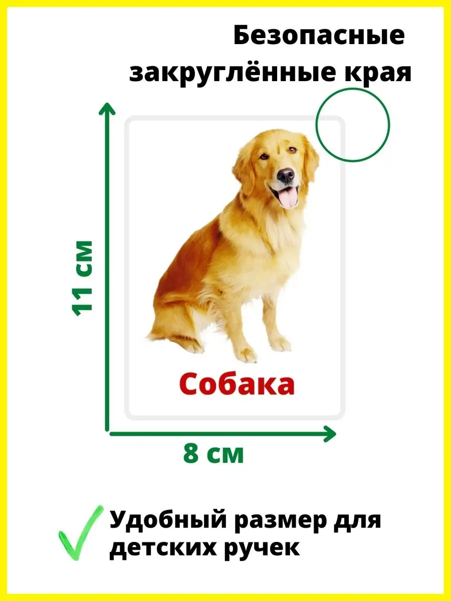 Карточки Развивающие ламинированные Домашние животные МОНСНЕЖОК 20922331  купить за 343 ₽ в интернет-магазине Wildberries