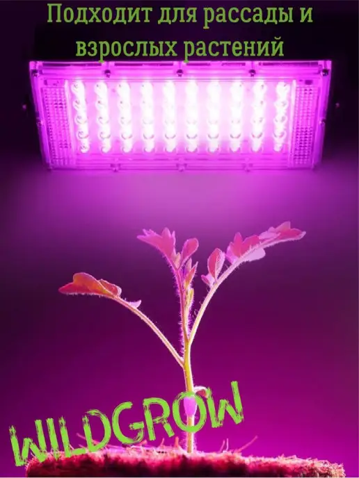 W-GROW Фитолампа 300 50W полного спектра для растений и рассады, 50 Вт, фото 3