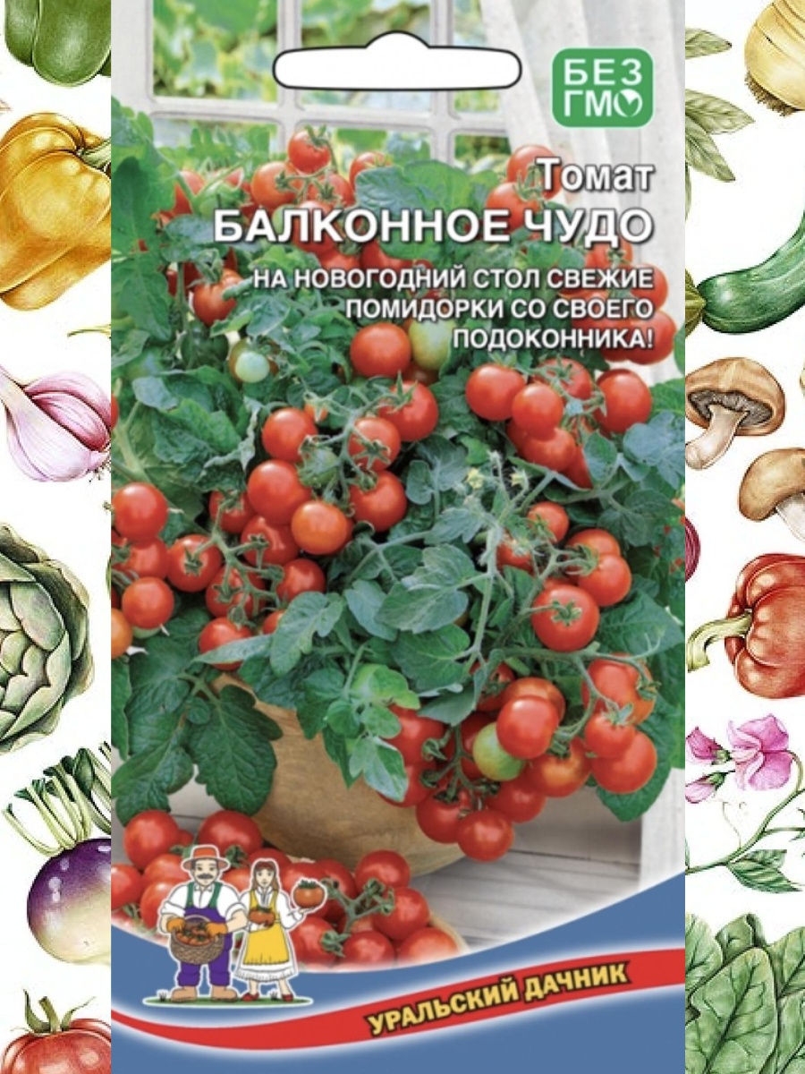 Семена томатов балконное чудо. Томат балконное чудо (20 шт). Томат балконное чудо Уральский Дачник. Балконные томаты сорт балконное чудо. Семена томат балконное чудо.